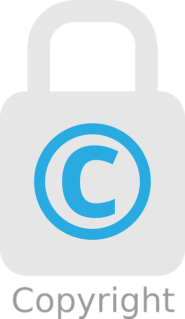 copyright-4144879_640 (1).png